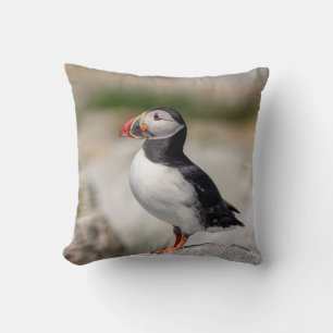 Almofada Puffin Atlântico em Machias, Maine