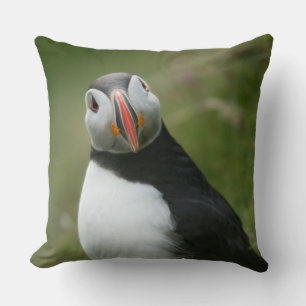 Almofada Puffin lança travessuras