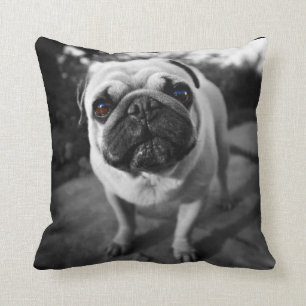 Almofada Pug considerável