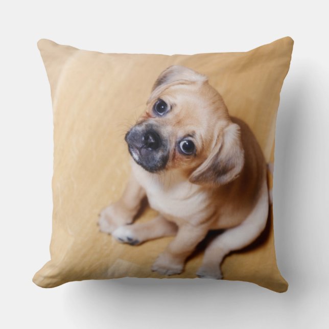 Almofada Pug Cross Cavalier King Charles Spaniel (Frente)