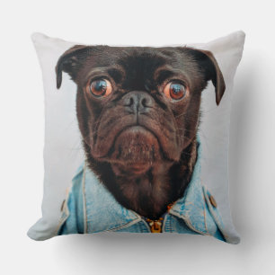 Almofada Pug in Denim Jackey Cachorro Adorável