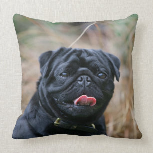 Almofada Pug preto que arfa ao olhar a câmera