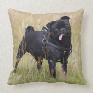 Almofada Pug preto que cola para fora Tounge