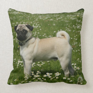 Almofada Pug que joga nas flores