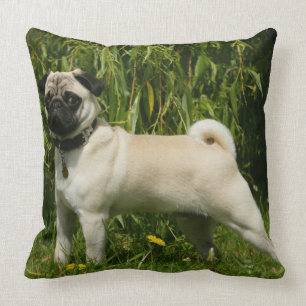 Almofada Pug que olha a câmera