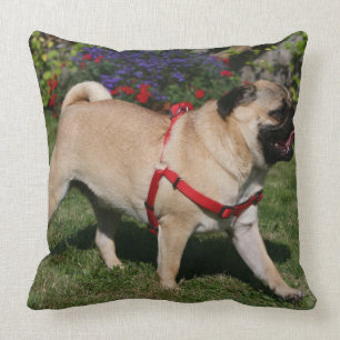 Almofada Pug que veste o chicote de fios vermelho