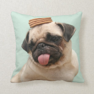 Almofada Pug Quer Tratamentos