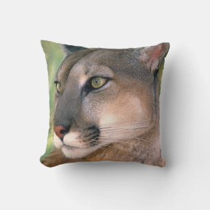 Almofada Puma, Califórnia