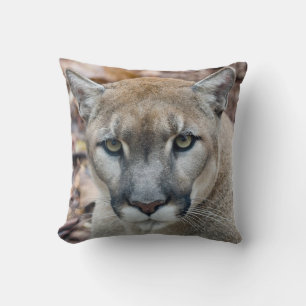 Almofada Puma, leão-da-montanha, pantera-da-flórida, Puma