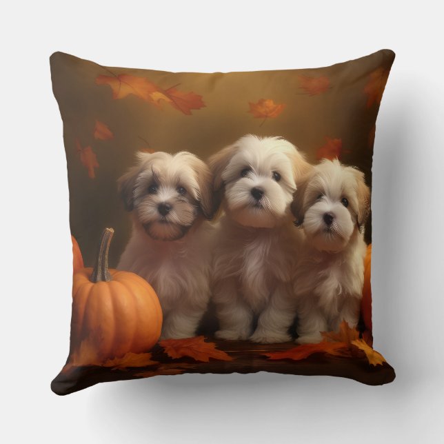 Almofada Puppy Autumn Delight Pumpkin (Verso)