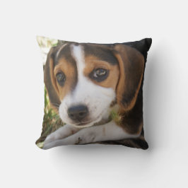 Almofada Puppy Dog Beagle