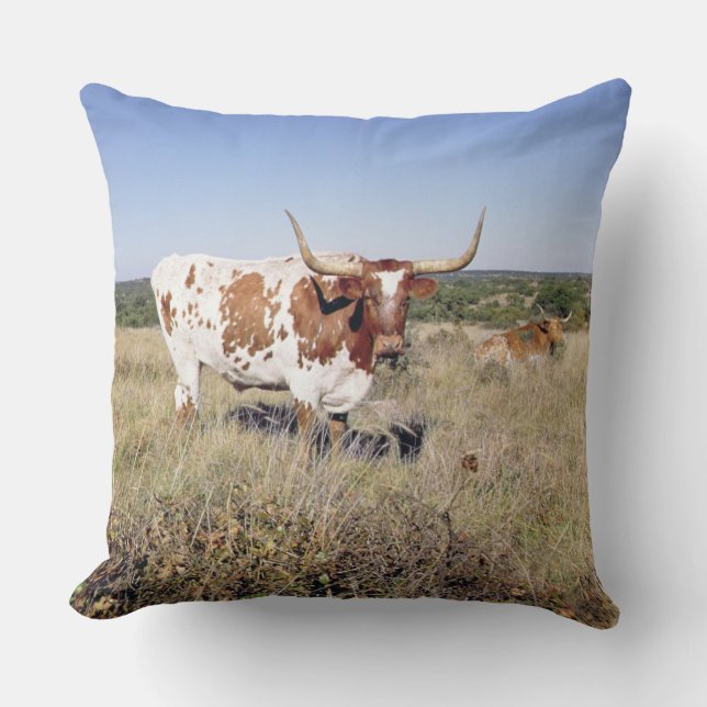 Almofada Raça de Texas Longhorn (foto) (Frente)