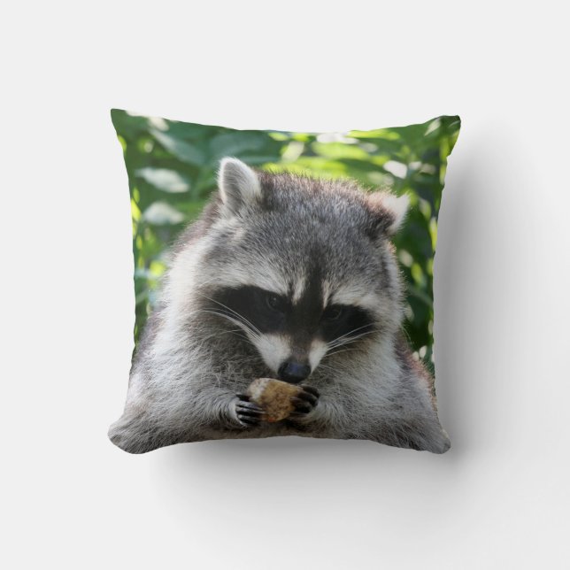Almofada Raccoon 004 (Frente)