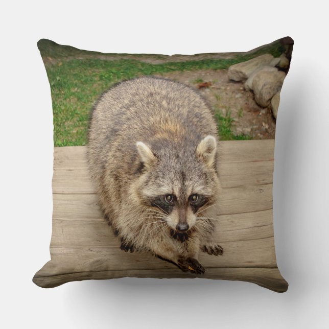 Almofada Raccoon com chip (Frente)