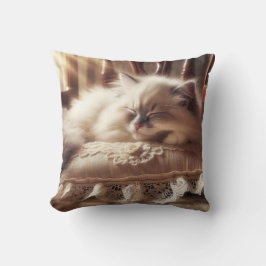 Almofada Ragdoll Kitten Dormindo em um Travesseiro