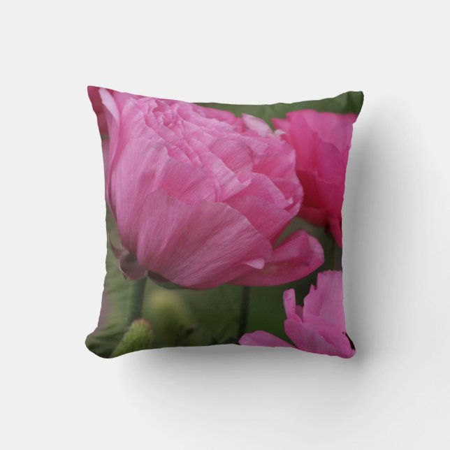 Almofada Ranunculus Cor-de-Rosa-Rosa-Rosa-Profundo (Frente)