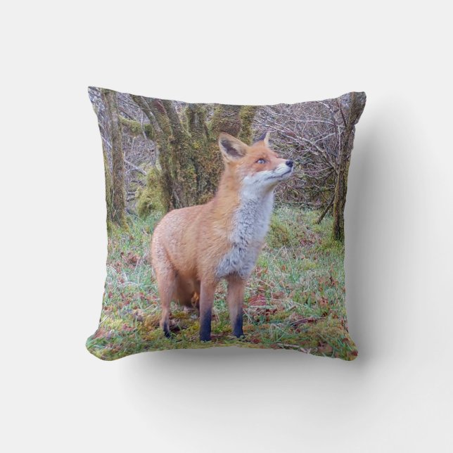 Almofada Raposa Vermelha Reversível (Frente)