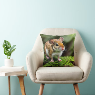 Almofada Rato Ginger Australiano de Compras, Cushion