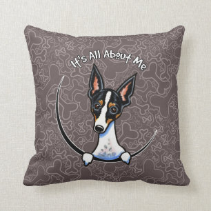 Almofada Rato Terrier Tricolor IAAM