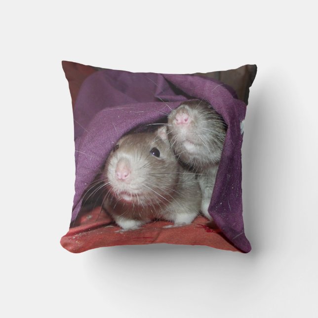 Almofada ratos escondendo travesseiro Mojo Americano (Frente)