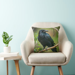 Almofada Raven em uma ramificação de árvore