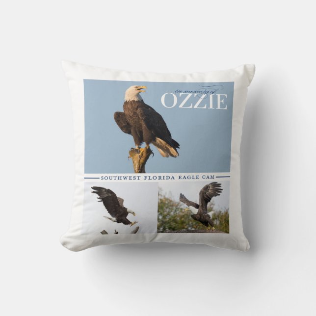 Almofada Recordando o travesseiro decorativo de Ozzie (Frente)