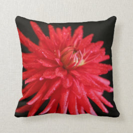 Almofada Red Cactus Dahlia