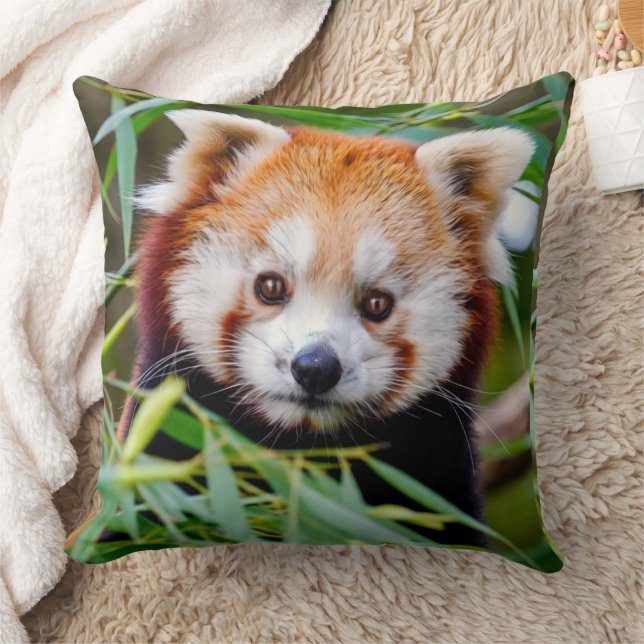 Almofada Red Panda (Cobertor)