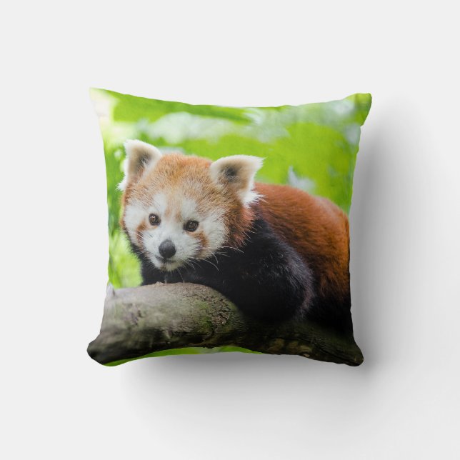 Almofada Red Panda (Frente)