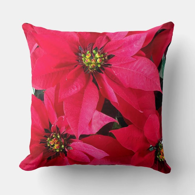 Almofada Red Poinsettias (Frente)