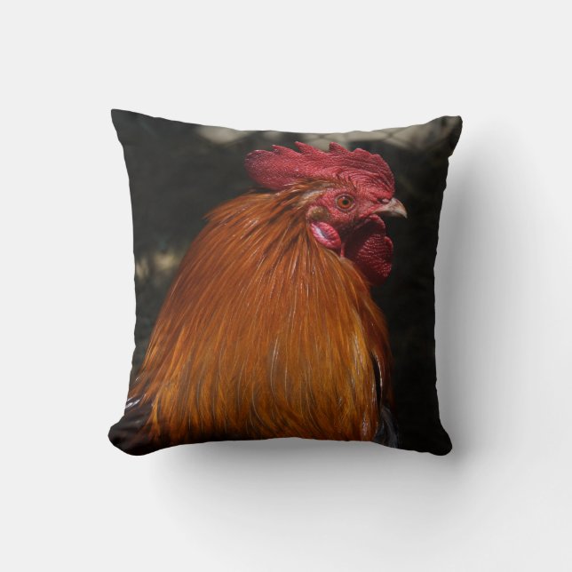 Almofada Red Rooster (Frente)