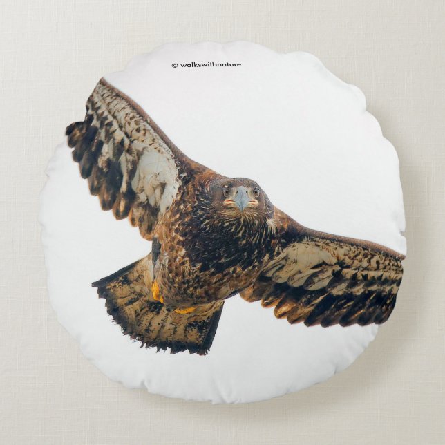 Almofada Redonda A Águia Bald Stunning faz sobrevoo (Frente)