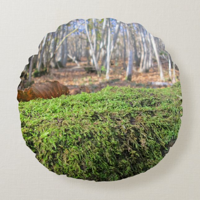 Almofada Redonda Abatimentos de árvores em Moss do outono - Persona (Frente)