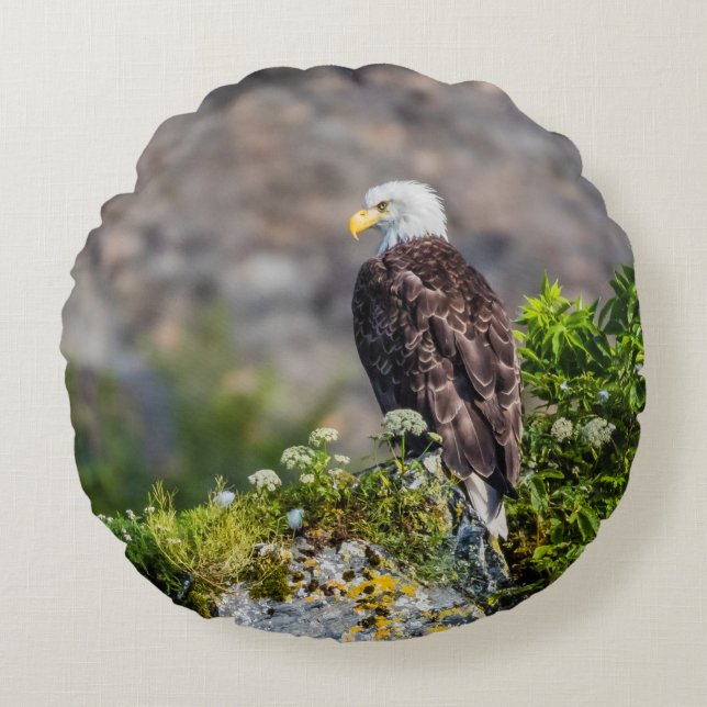 Almofada Redonda Águia caída sentada na rocha (Frente)