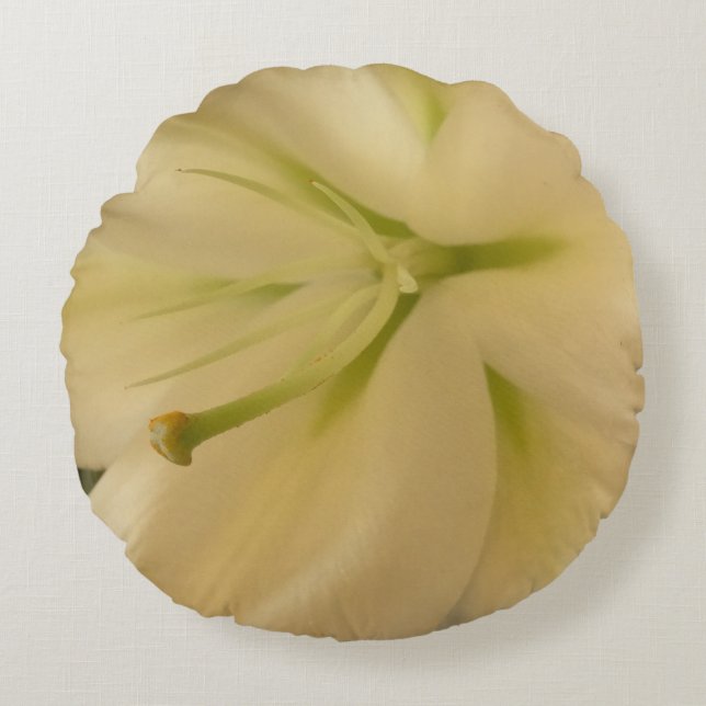 Almofada Redonda Almofada branca, feminina (Frente)