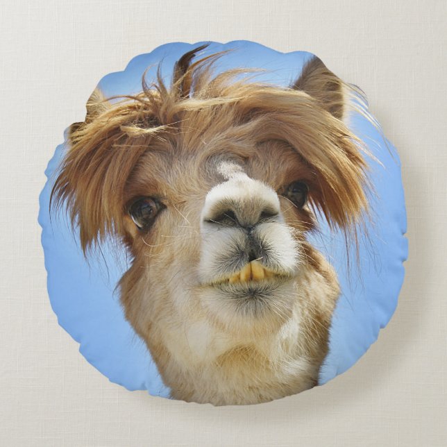 Almofada Redonda Alpaca com o travesseiro louco do cabelo (Frente)