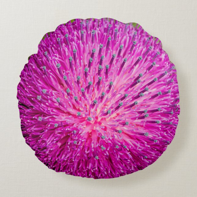 Almofada Redonda Aperto do caroço do leite (Frente)