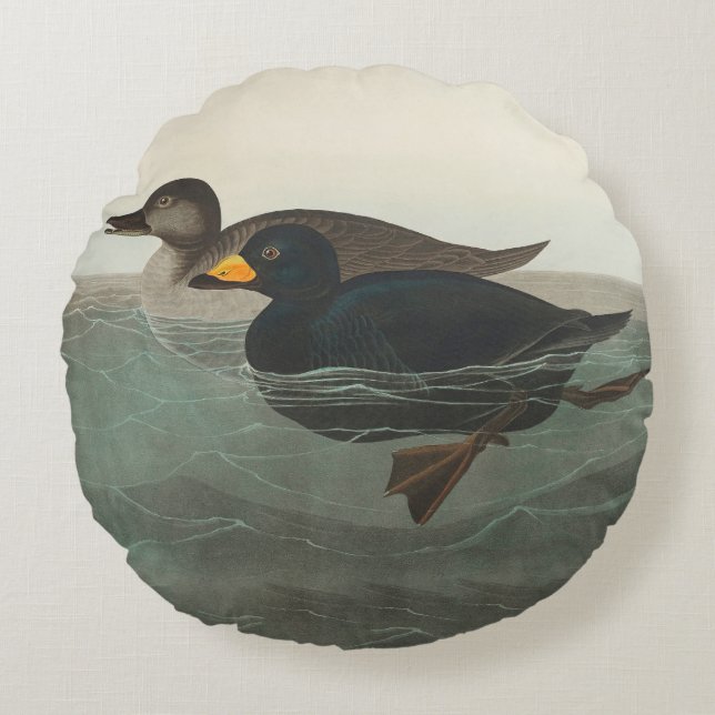 Almofada Redonda Audubon American Scoter Duck Classic (Frente)