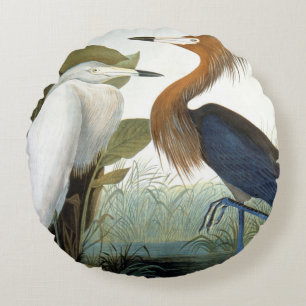 Almofada Redonda Audubon: Egret avermelhado ou garça-real roxa