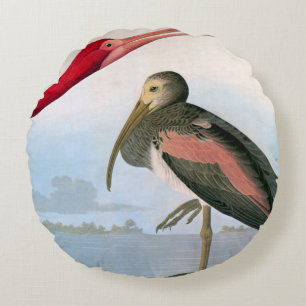 Almofada Redonda Audubon: Escarlate dos íbis