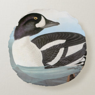 Almofada Redonda Audubon: O Goldeneye do carrinho de mão