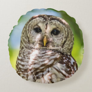 Almofada Redonda Barred Owl
