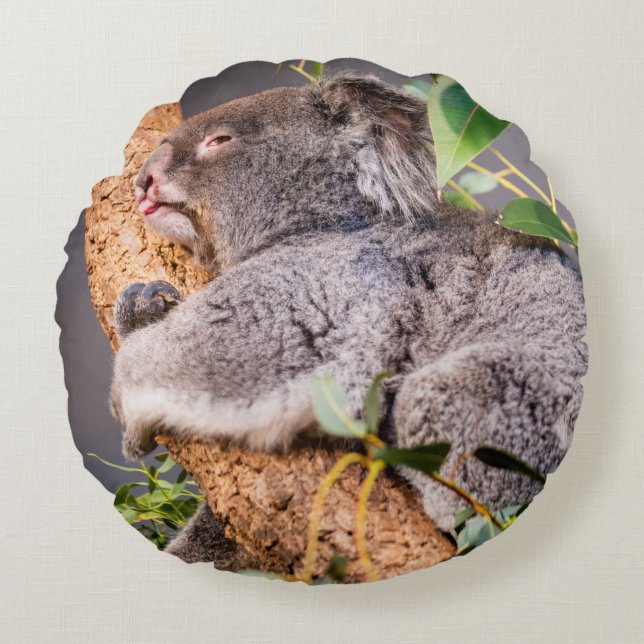 Almofada Redonda Bela coala (Frente)