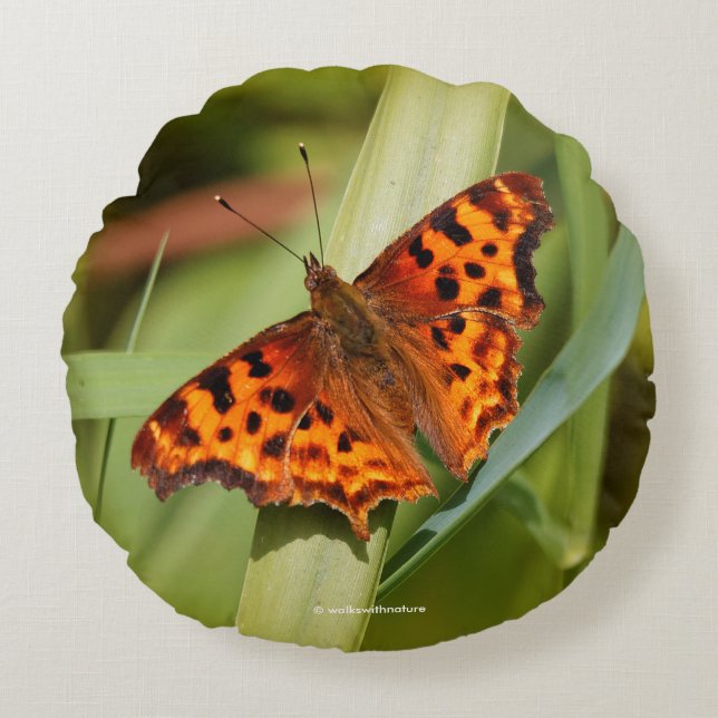 Almofada Redonda Belo Laranja Satyr Comma Butterfly (Frente)