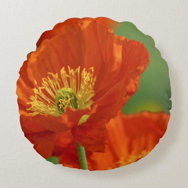 Almofada Redonda Belo papa vermelho (Frente)