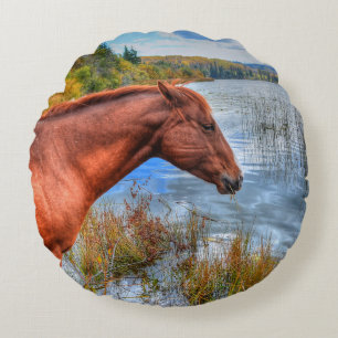 Almofada Redonda Belo Sorrel Mare & Lake View Equine Photo 2