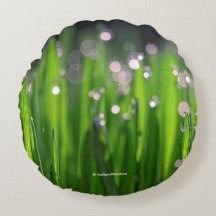 Berbedo Roda na Luz da Manhã