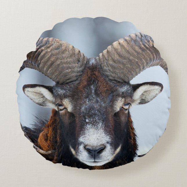 Almofada Redonda Big Horn Ram Sheep - Mouflon (Frente)