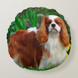 Almofada Redonda Blenheim Cavalier King Charles Spaniel Puppy Dog