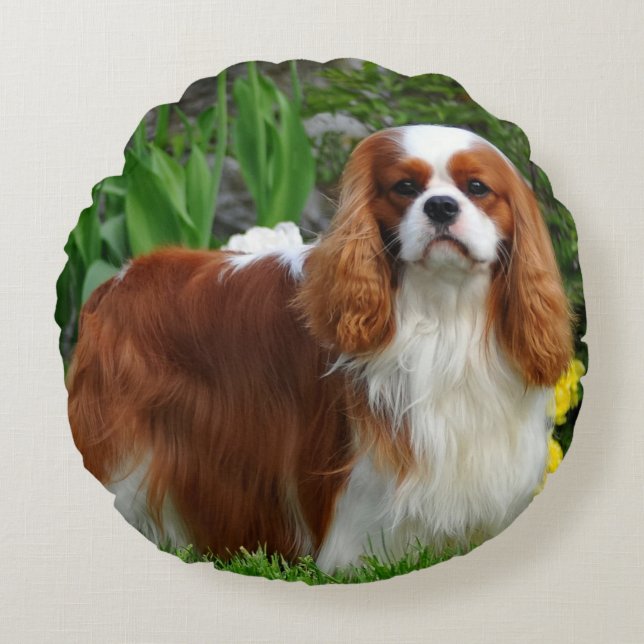Almofada Redonda Blenheim Cavalier King Charles Spaniel Puppy Dog (Frente)